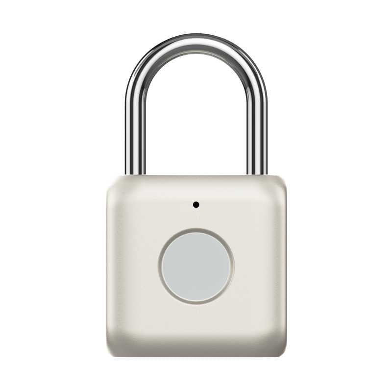 detechFingerprint Smart Lock